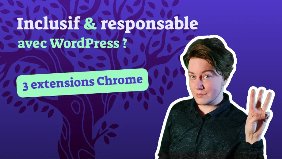 Inclusive et responsable avec WordPress ? 3 extensions pour navigateur Chrome