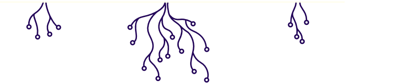Illustration décorative des racines de la plante sous cloche de verre, descendant vers le pied de page et séparé de la plante par une ligne pleine qui évoque la terre